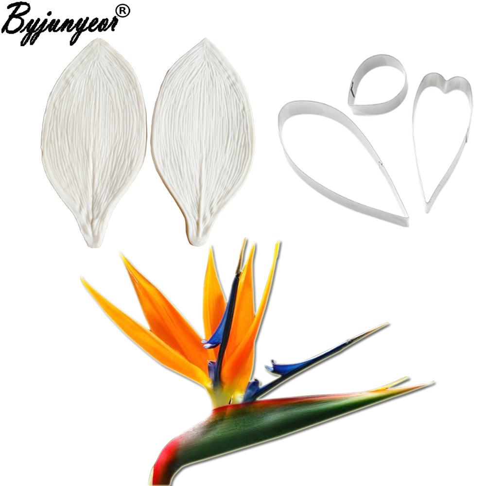 Bird Paradise Strelitzia - Grande Gumpaste Strelitzia Birds of Paradise