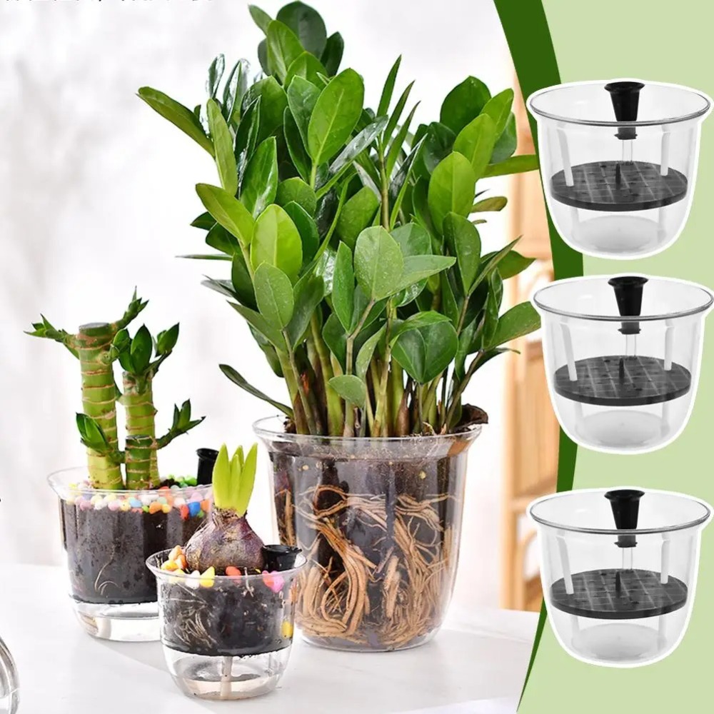 2 vasi autoirriganti, vasi per - Aloe Vera Pot recensione e prezzo