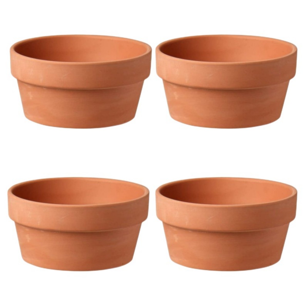 6 pezzi vasi in terracotta da  - Echeveria Succulent recensione e prezzo