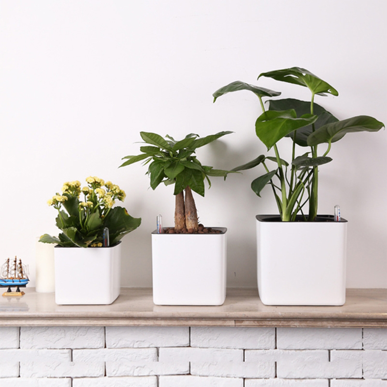 Piante da fiori con irrigazion - Aloe Vera Pot recensione e prezzo