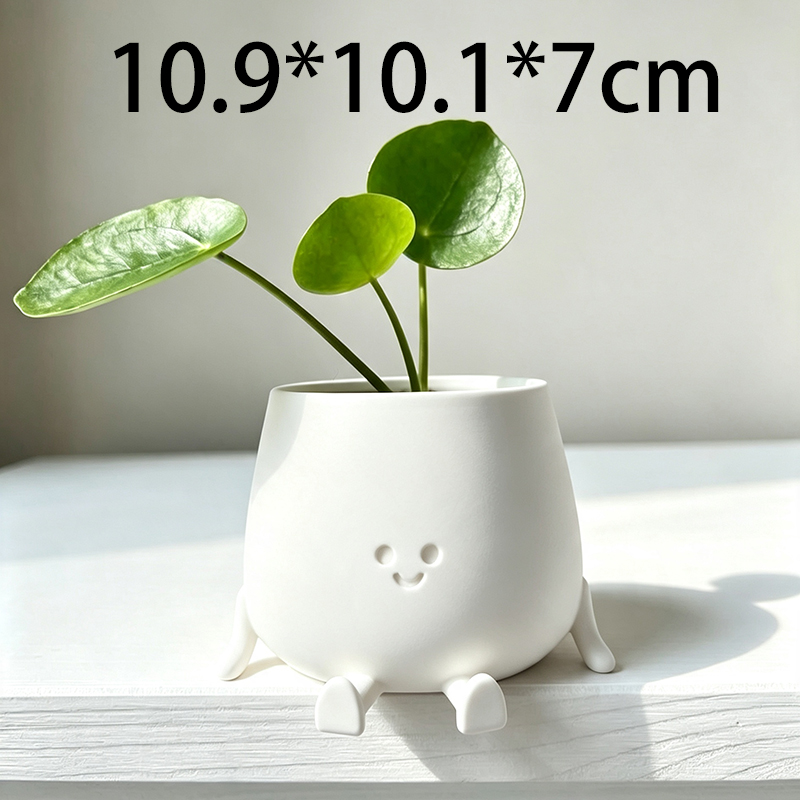 Vaso per Piante con Faccina So - Echeveria Succulent recensione e prezzo