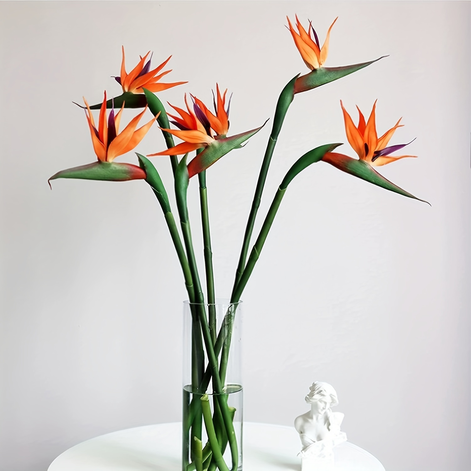 3 pezzi di fiori di uccelli ce - Bird Paradise Strelitzia recensione e prezzo