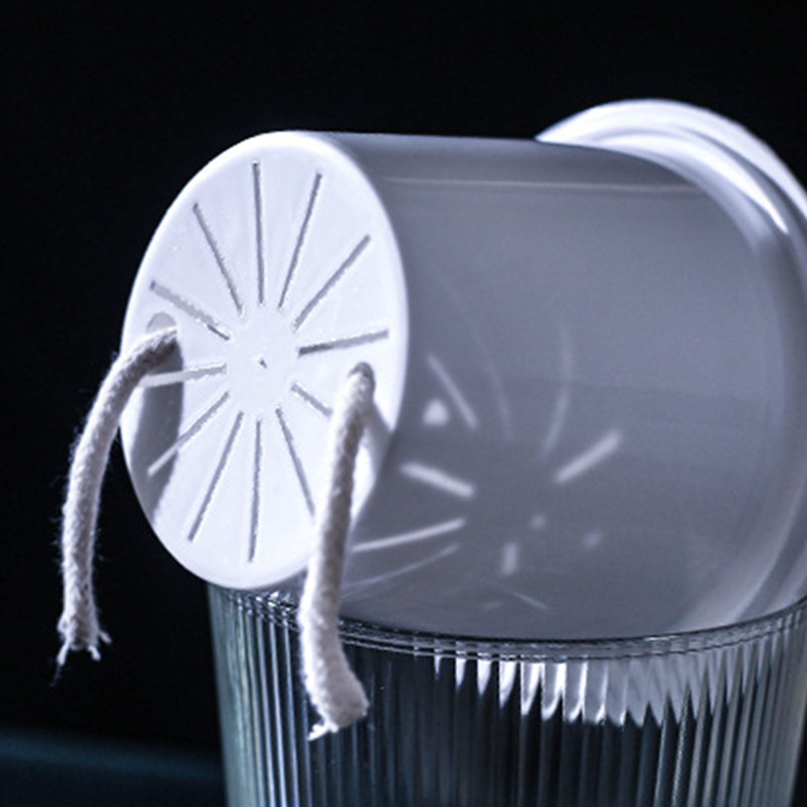 Vaso per Piante con Sistema di - Aloe Vera Pot recensione e prezzo