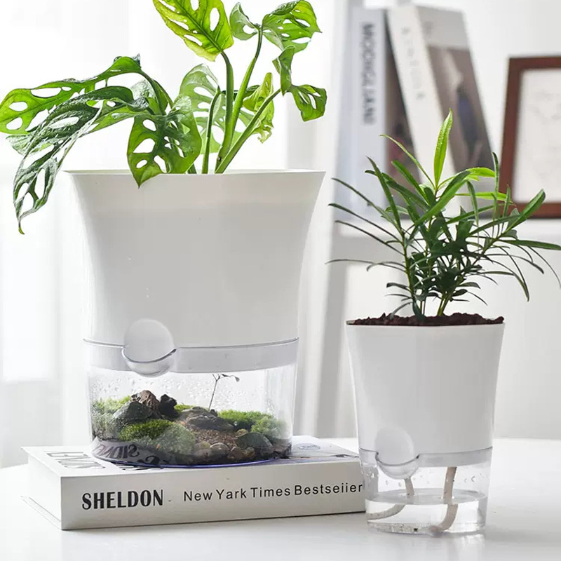 Vasi per piante autoirriganti  - Aloe Vera Pot recensione e prezzo