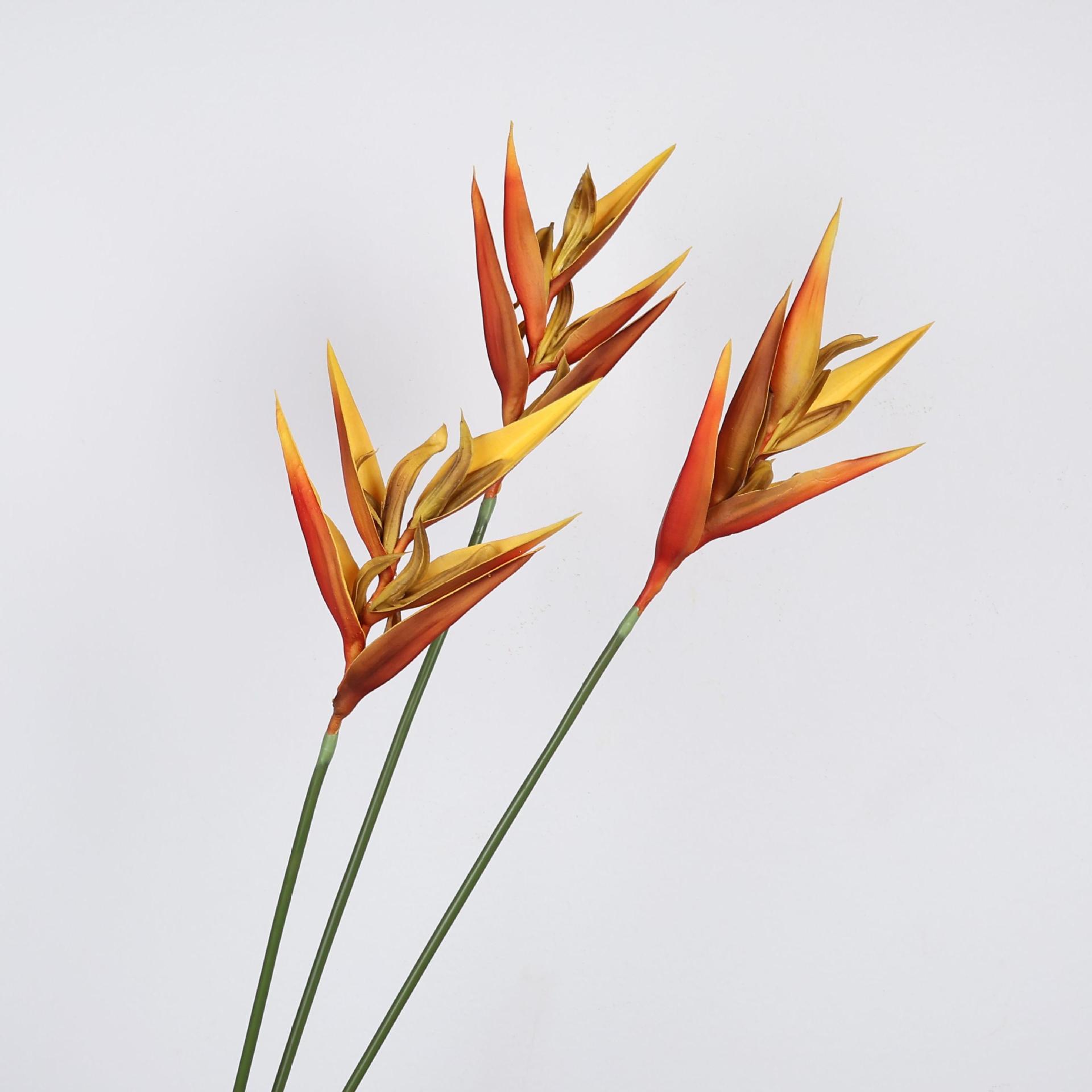 Pianta strelitzia artificiale  - Bird Paradise Strelitzia recensione e prezzo