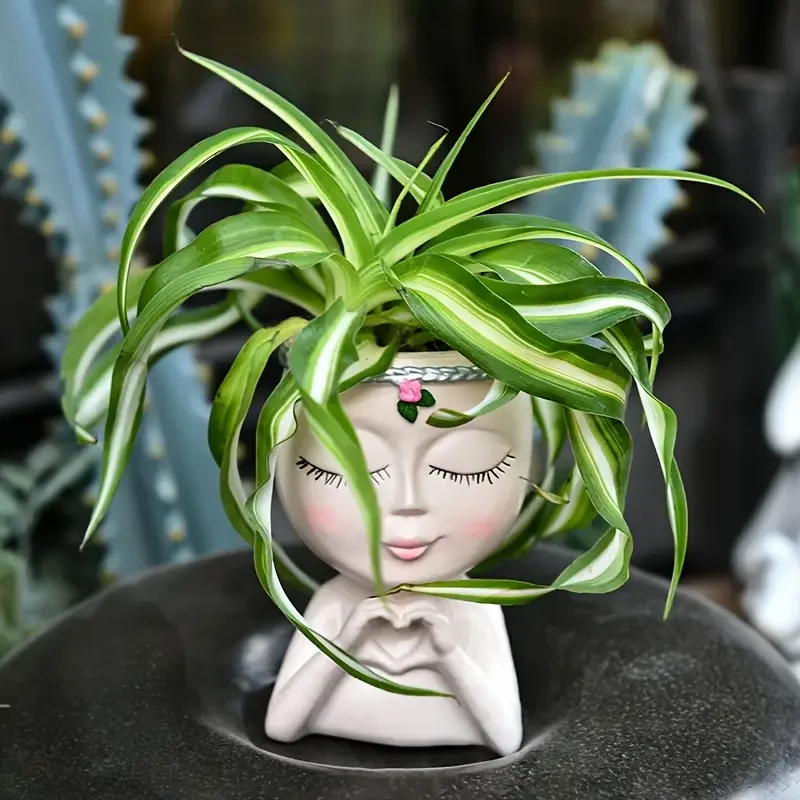 Vaso per Piante Grasse in Resi - Echeveria Succulent recensione e prezzo