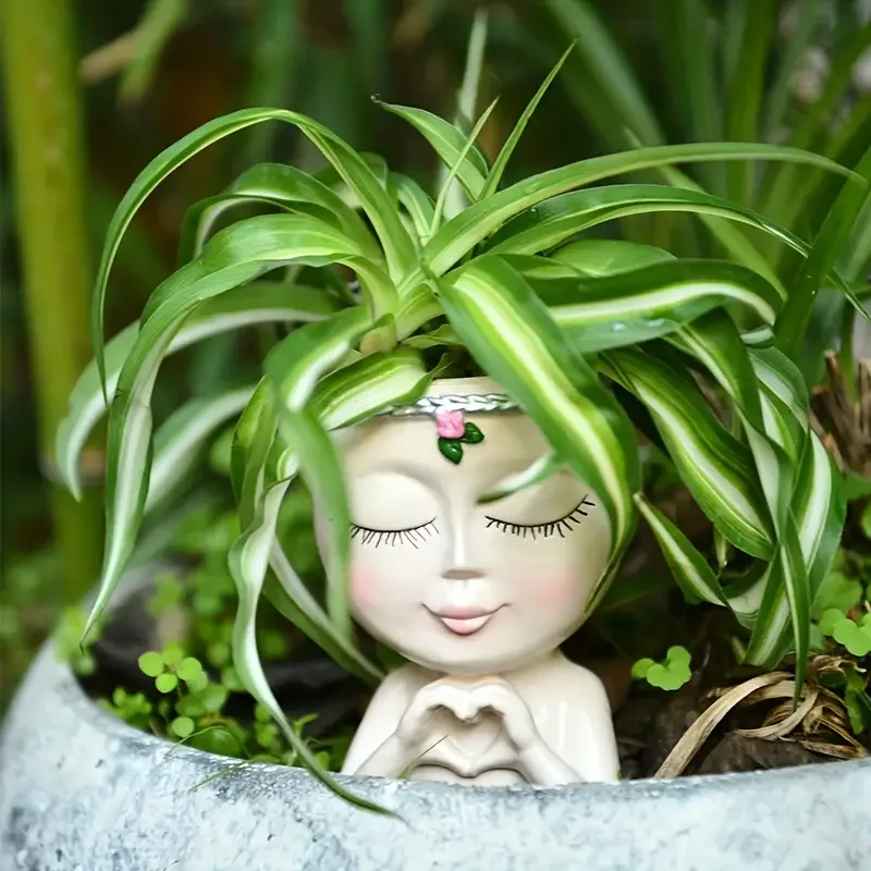 Vaso per Piante Grasse in Resi - Echeveria Succulent recensione e prezzo