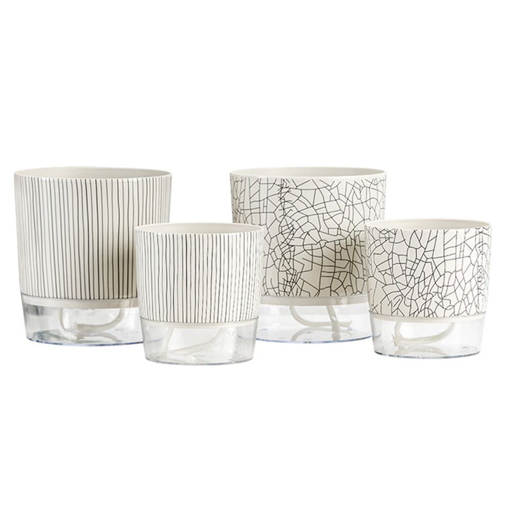 Vaso Trasparente Autoirrigante - Aloe Vera Pot recensione e prezzo