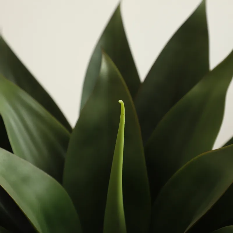 Pianta Artificiale di Aloe Ver - Aloe Vera Pot recensione e prezzo